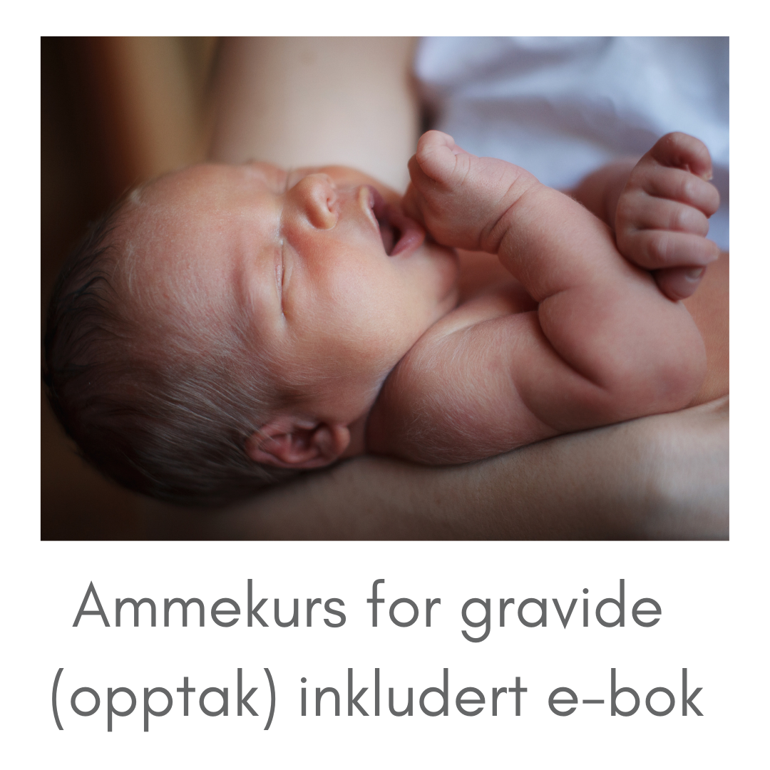 Ammekurs inkl e-bok